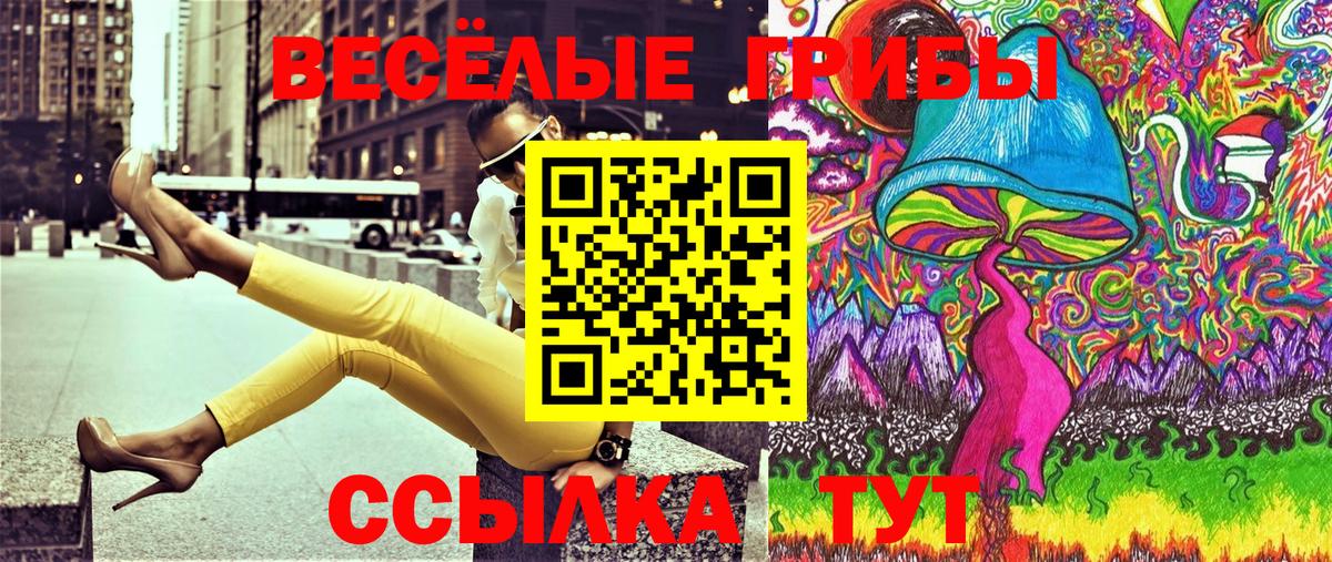 Галлюциногенные грибы Cubensis  Галлюциногенные грибы Cubensis  Вход с VPN  Дзержинский 